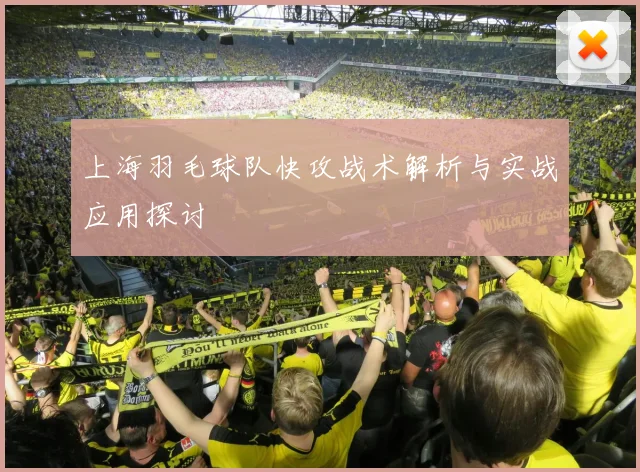 上海羽毛球队快攻战术解析与实战应用探讨